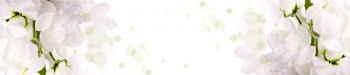 Кухонный фартук КМ 87 Вино Орхидея Цветы в Шушенском - shushenskoe.mebel54.com | фото