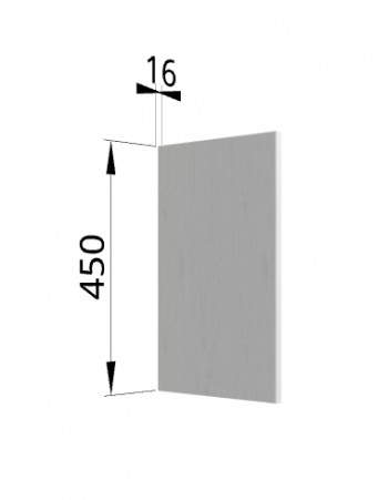 Панель торцевая (для шкафа горизонтального высокого) ВПГ Ройс (Графит софт) в Шушенском - shushenskoe.mebel54.com | фото